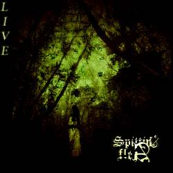 Spittin Flea : Live St-Jean